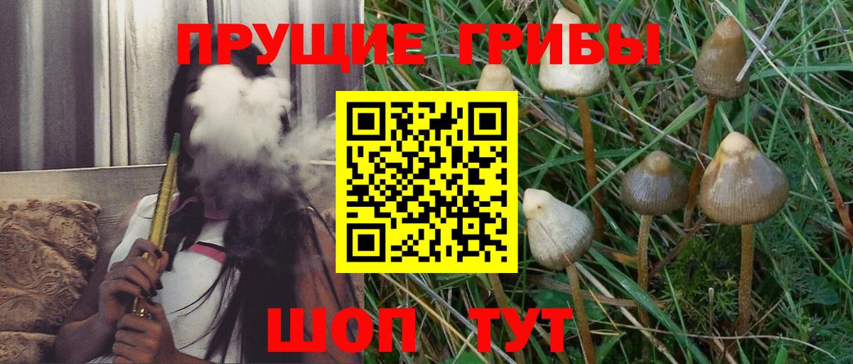 Псилоцибиновые грибы ЛСД  где купить наркоту  Вход с VPN  Елец  Галлюциногенные грибы Psilocybe 