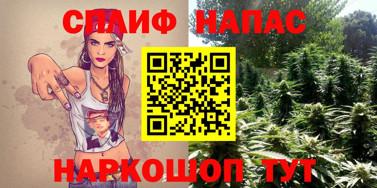 Бошки марихуана Amnesia  Бошки марихуана Amnesia  Елец  Конопля Ganja  Канабис план  Вход с VPN 